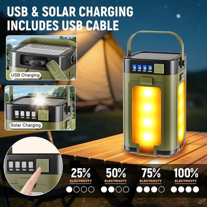 Outdoor Lighting Bronze - Outdoor Portable Mobile Power Light Type-C