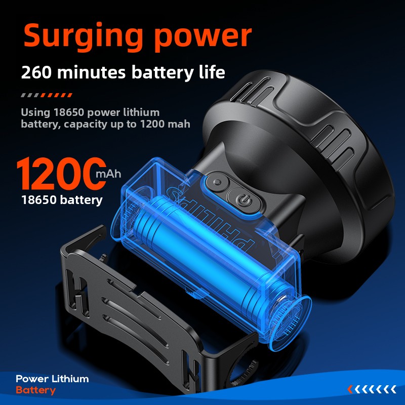 PHILIPS SFL1342 LED Headlamp S - đánh giá và giá Outdoor Lighting Philips
