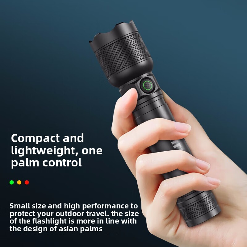 2025 NEW Philips SFL2188 LED A - đánh giá và giá Outdoor Lighting Philips